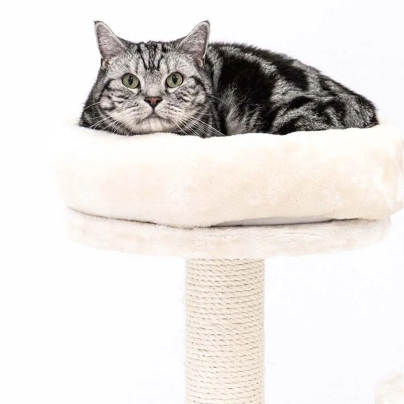 Little Rebels Reno 110cm Cat Tree