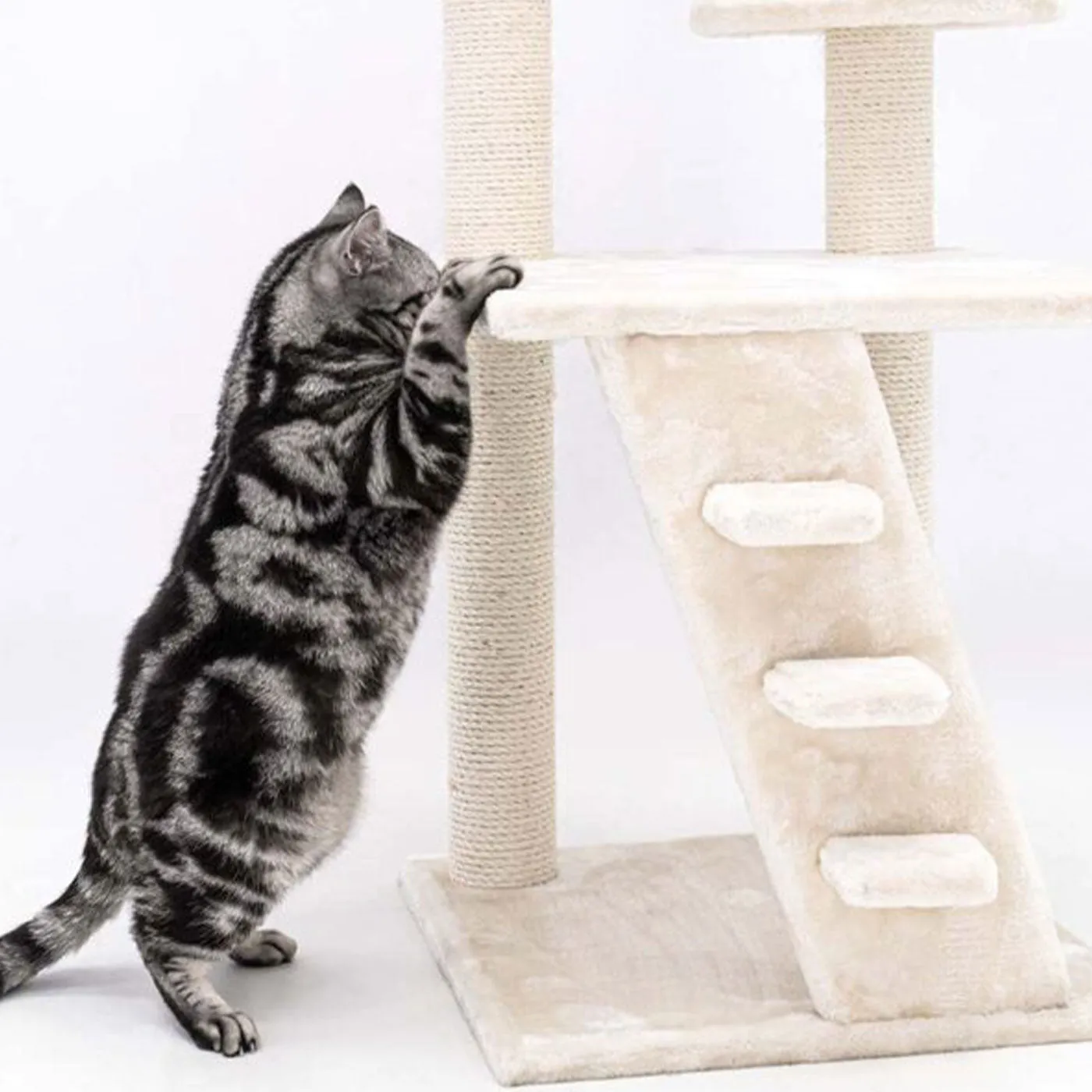 Little Rebels Reno 110cm Cat Tree