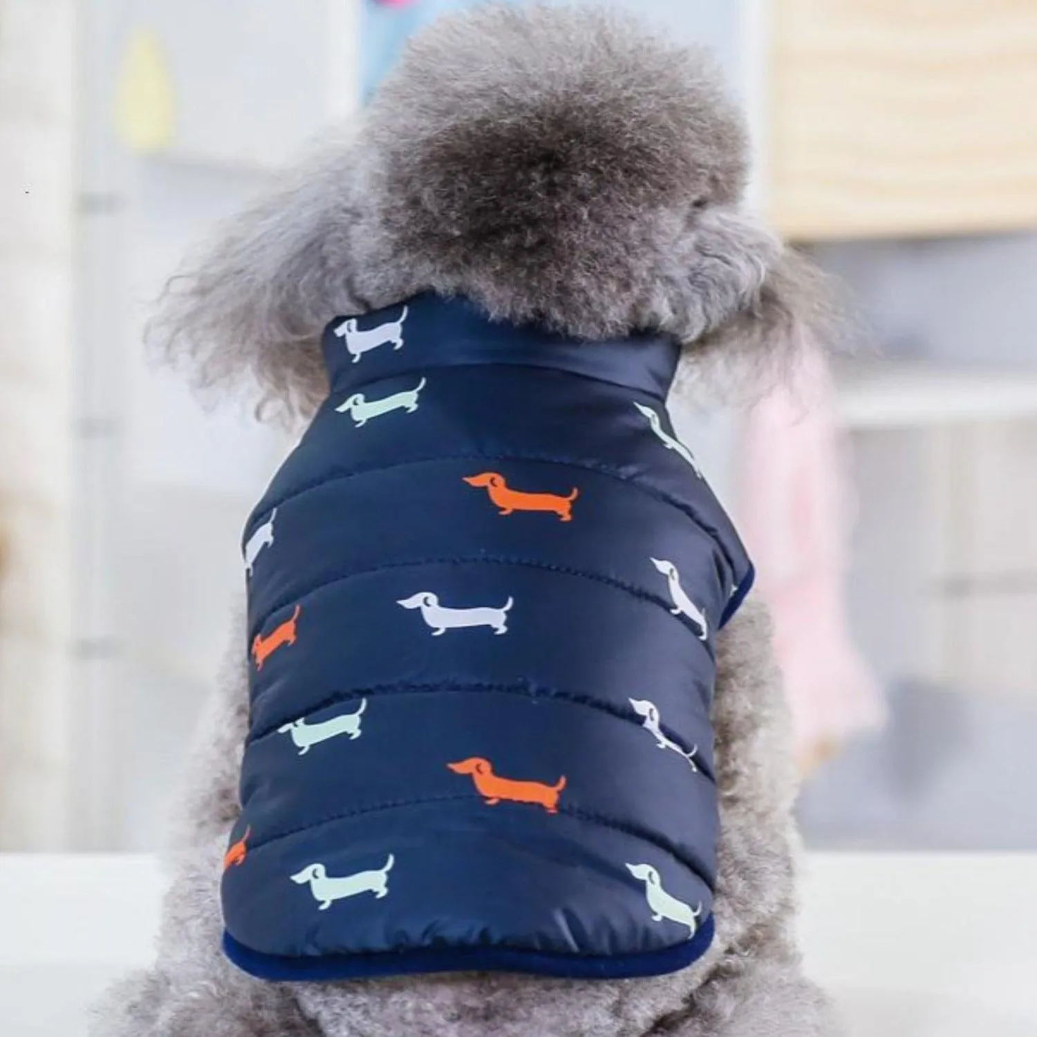 Looney Tunes Cartoon Vest Dog Jacket