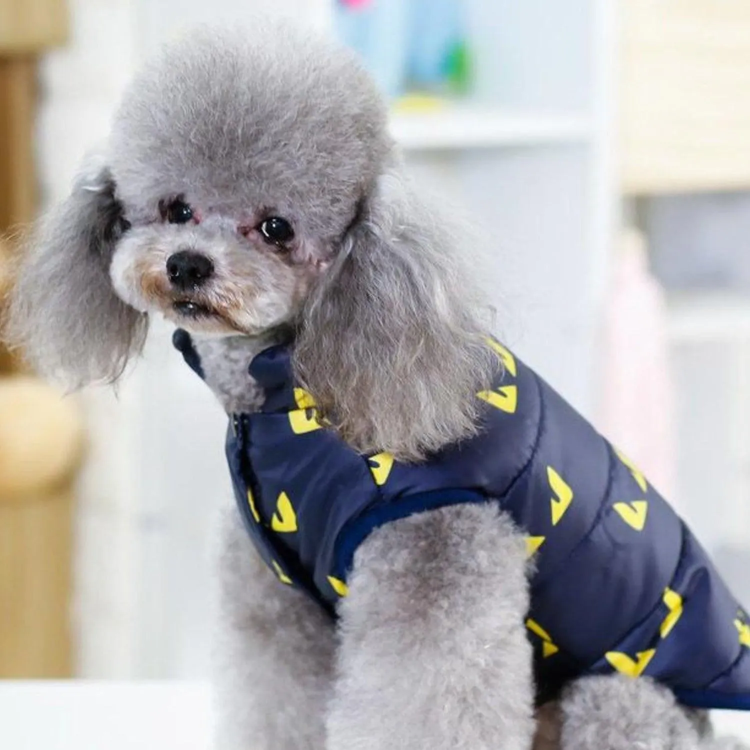 Looney Tunes Cartoon Vest Dog Jacket