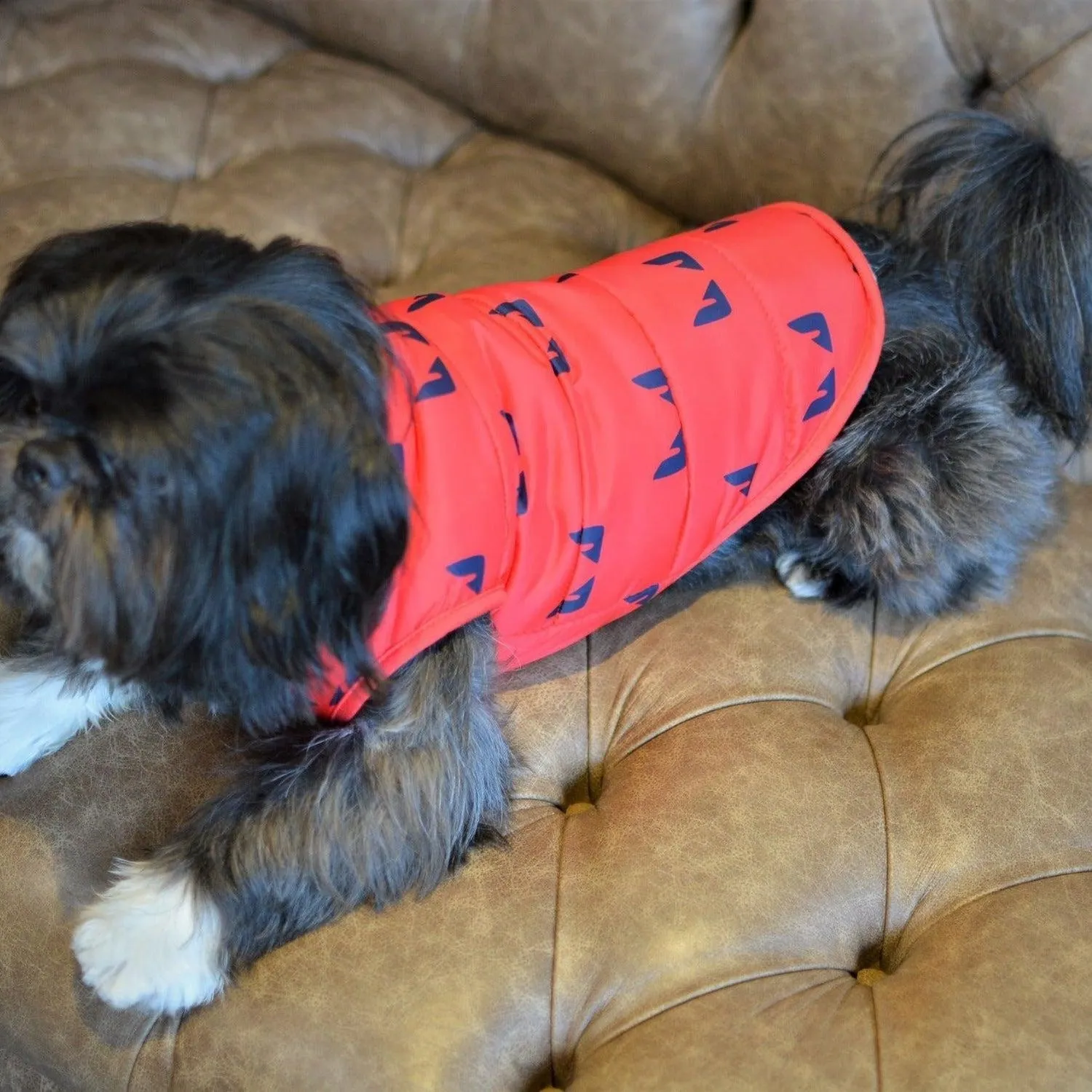 Looney Tunes Cartoon Vest Dog Jacket