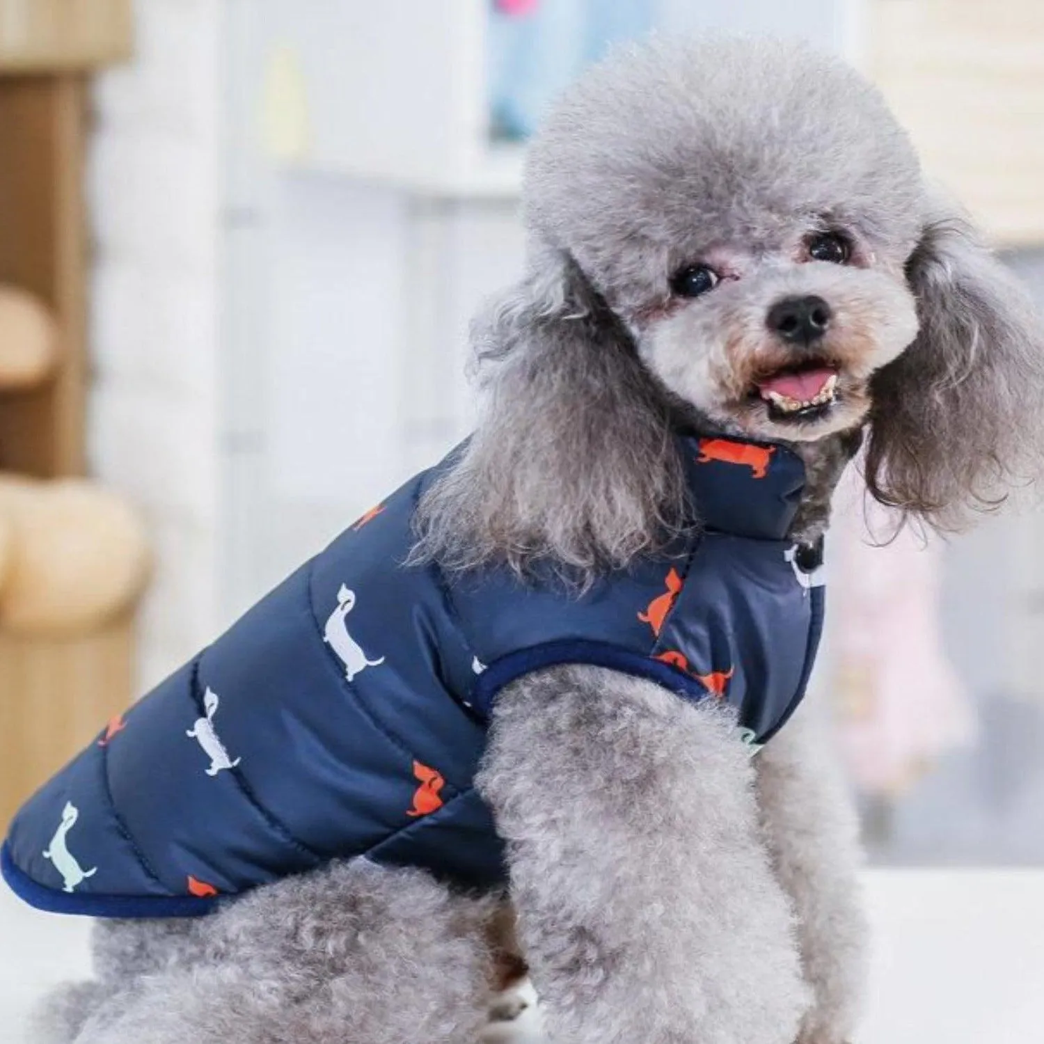 Looney Tunes Cartoon Vest Dog Jacket