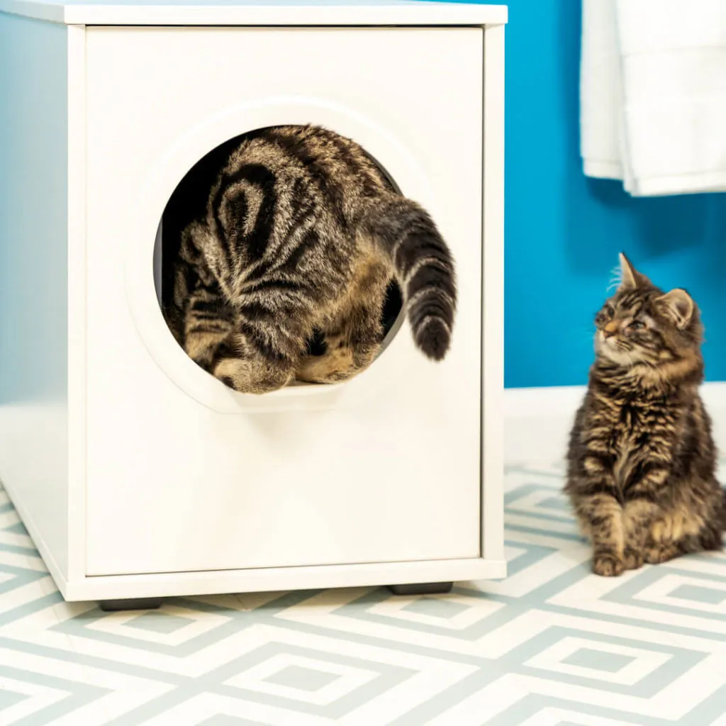 Maya Walk In Cat Litter Box | Enclosed