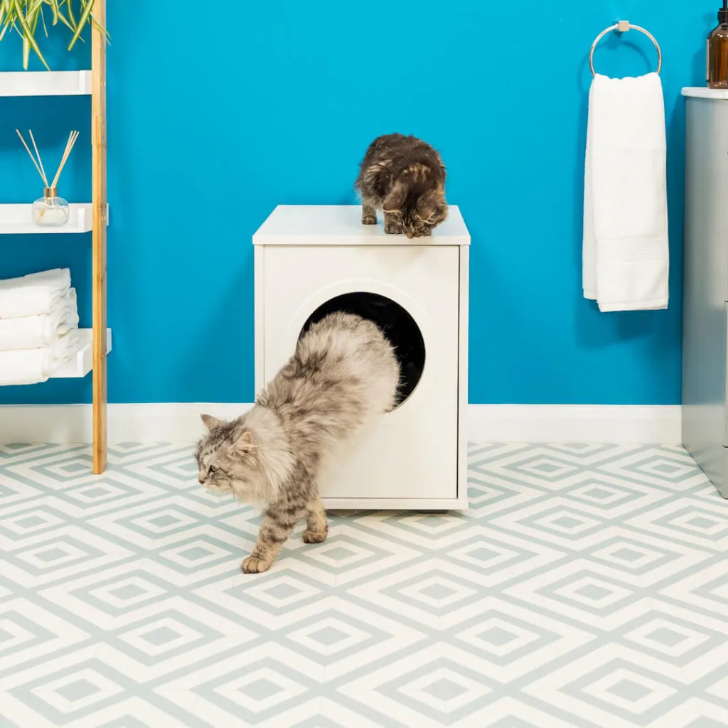 Maya Walk In Cat Litter Box | Enclosed