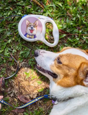 MayMaw Retractable & DIY & Replaceable Dog Leash