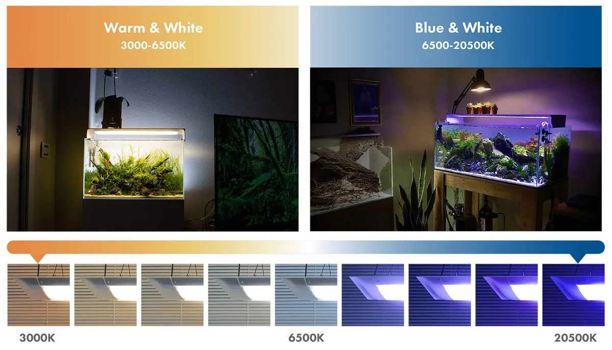 ONF Flat ONE  LED Light (Blue/White) - With Legs