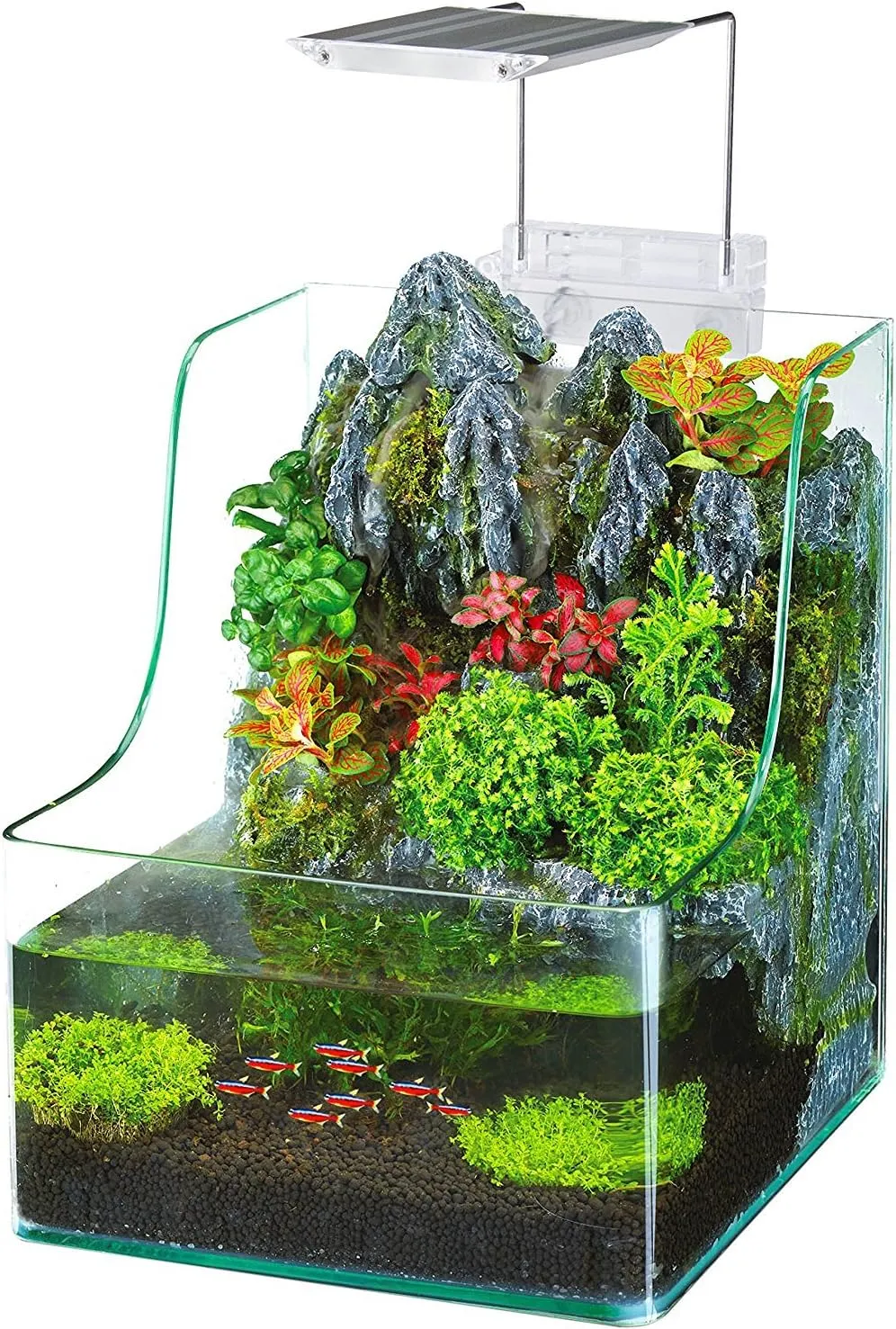PENN-PLAX AquaTerrium Planting Tank  Hydroponic Aquarium with Integrated Filter System for Live Plants and Fish  1.85 Gallons