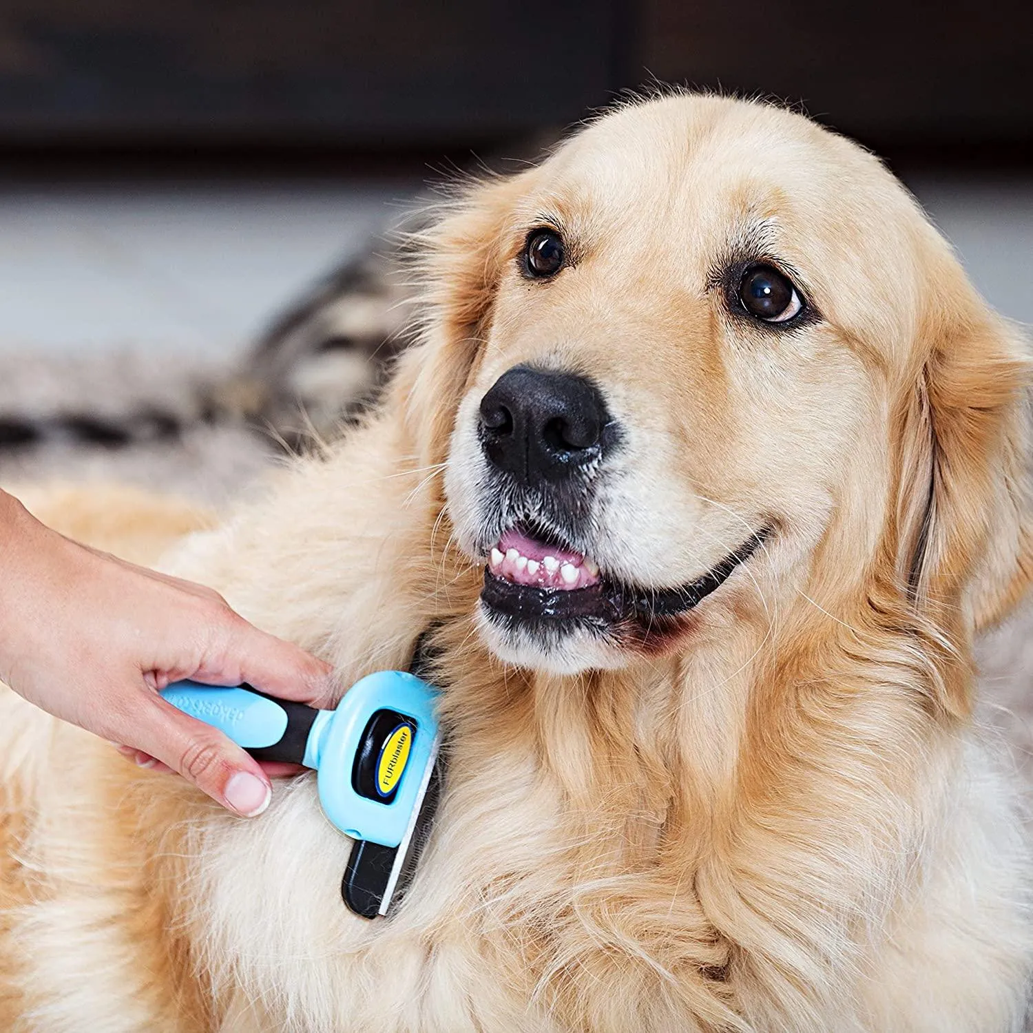 Pet Grooming Brush Effectively Reduces Shedding by Up to 95% Professional Deshedding Tool for Dogs & Cats…