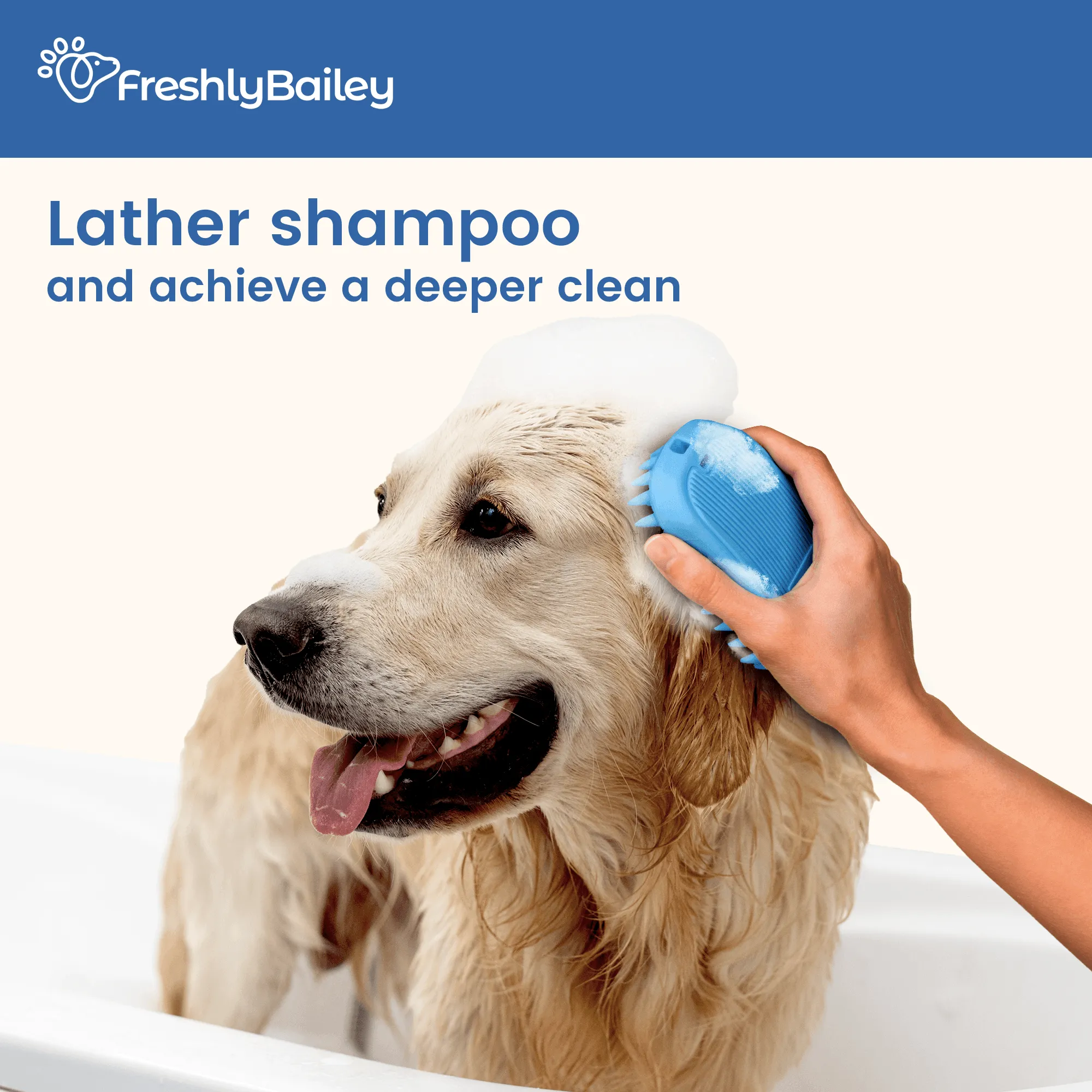 Pet Rubber Wet & Dry Brush