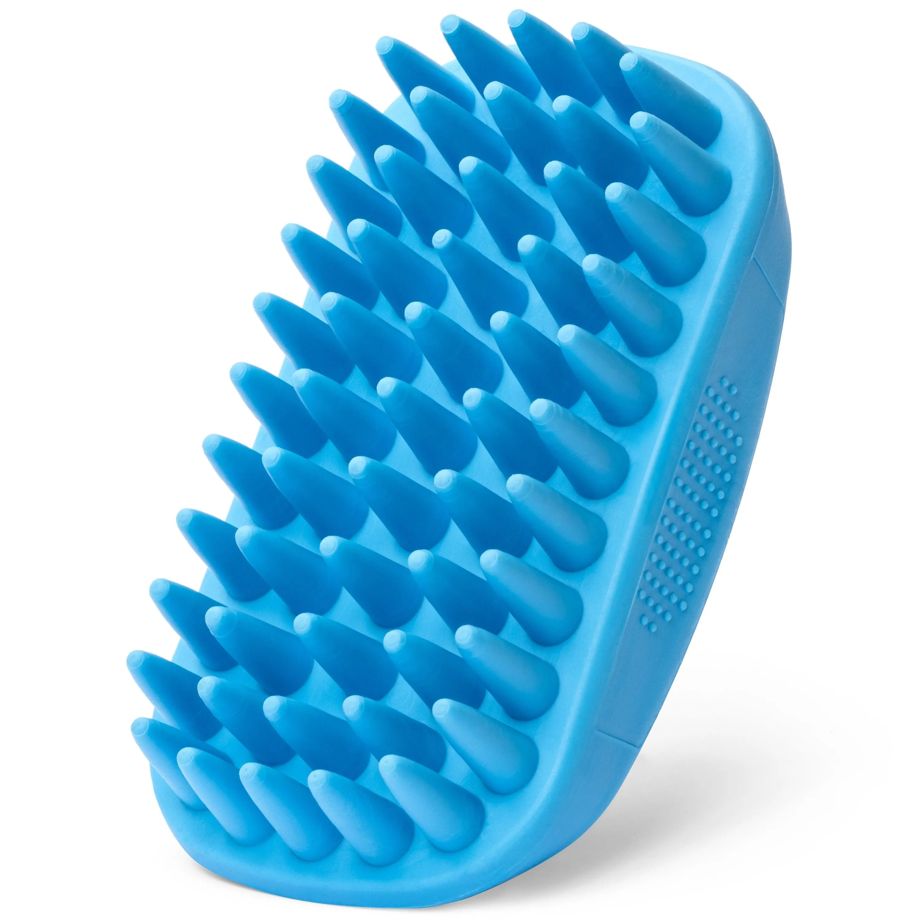 Pet Rubber Wet & Dry Brush