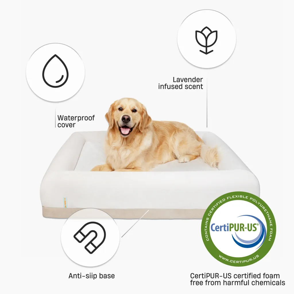 Premium Orthopedic Memory Foam Dog Bed - Champagne (Medium)
