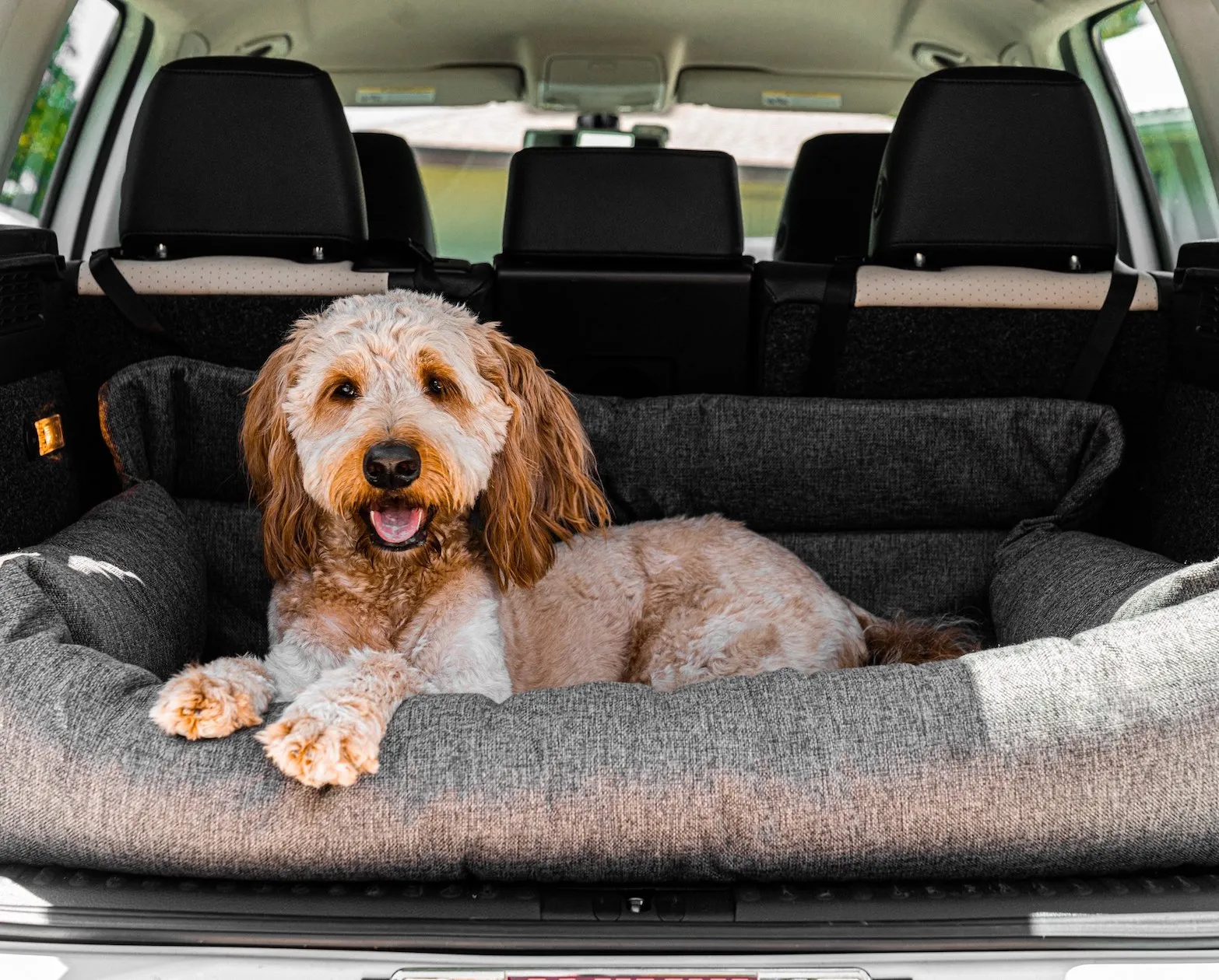 PupProtector Memory Foam Car Seat
