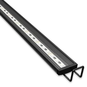 Reno Saltwater LED Strip Light