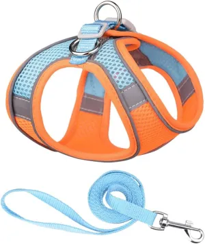 Step-in Pet Harness with a Free 59 inch Leash Included - Breathable Air Mesh for Dogs & Cats, with Reflective Straps, Safe Vest Built with Buckle & Double Metal Rings, Blue & Orange, XS