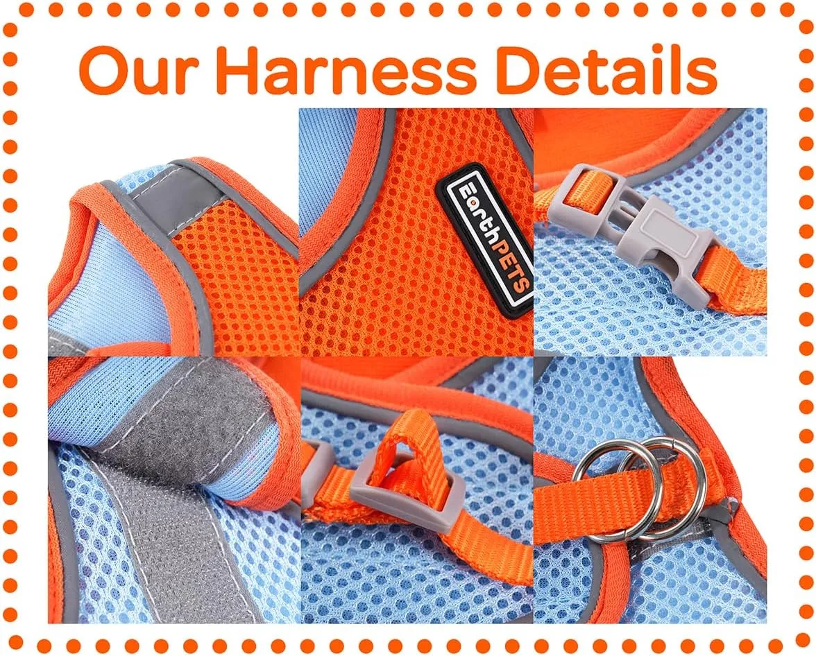 Step-in Pet Harness with a Free 59 inch Leash Included - Breathable Air Mesh for Dogs & Cats, with Reflective Straps, Safe Vest Built with Buckle & Double Metal Rings, Blue & Orange, XS