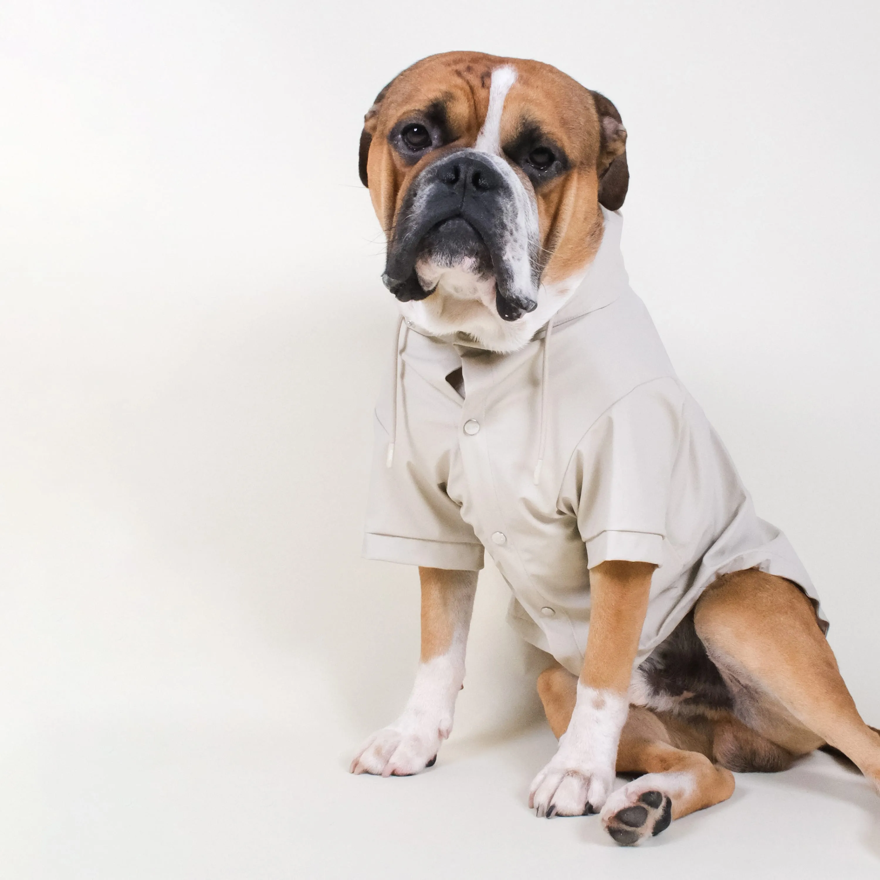 Stone Dog Raincoat