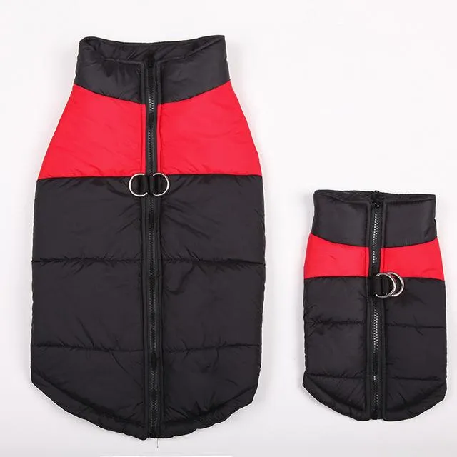 The Best Waterproof  Dog Jacket