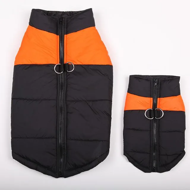 The Best Waterproof  Dog Jacket