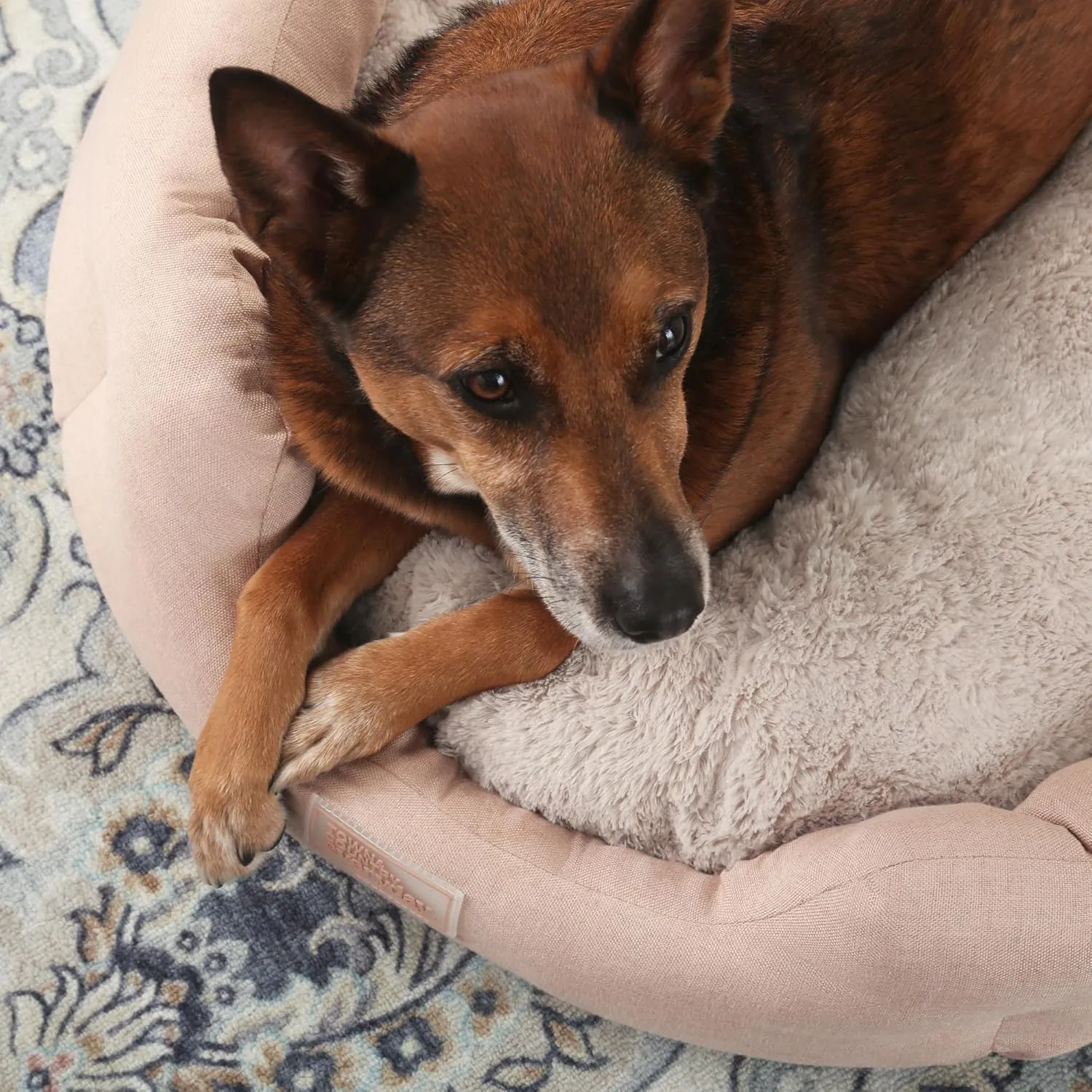 TOWN & COUNTRY EVERYDAY CuddleTown Faux Linen Comfy Cozy Cuddler Pet Bed, Supportive & Calming Egg Crate Foam, Non-Slip Bottom, Machine Washable Cover, Warm Taupe, Medium 28"x26"x8"