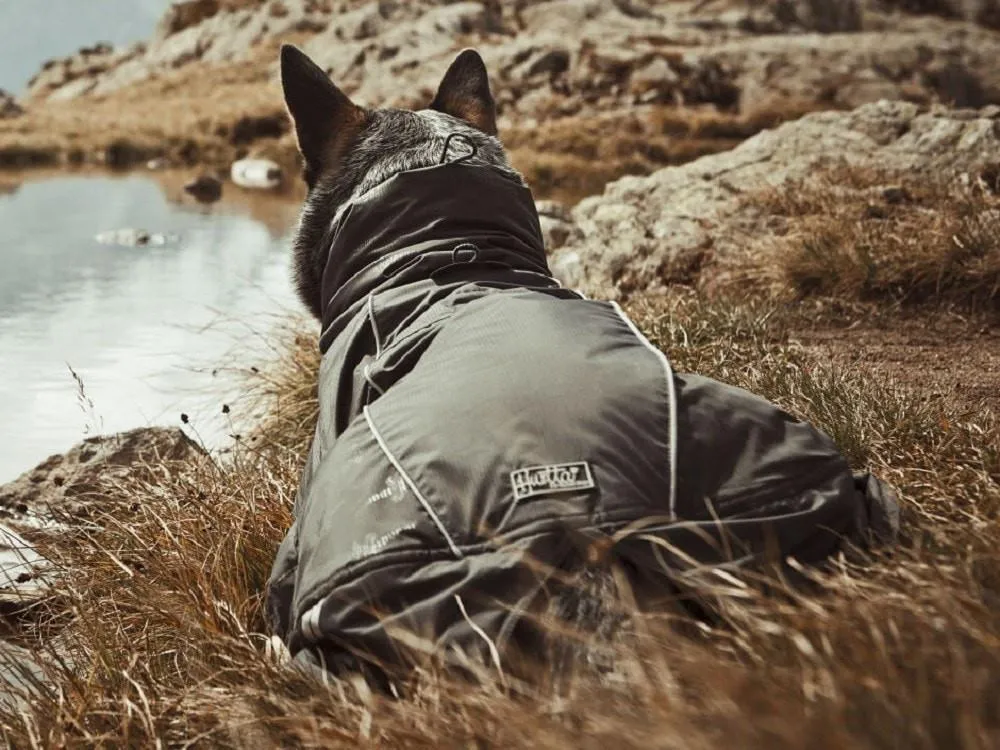 Ultimate Warmer Dog Jacket
