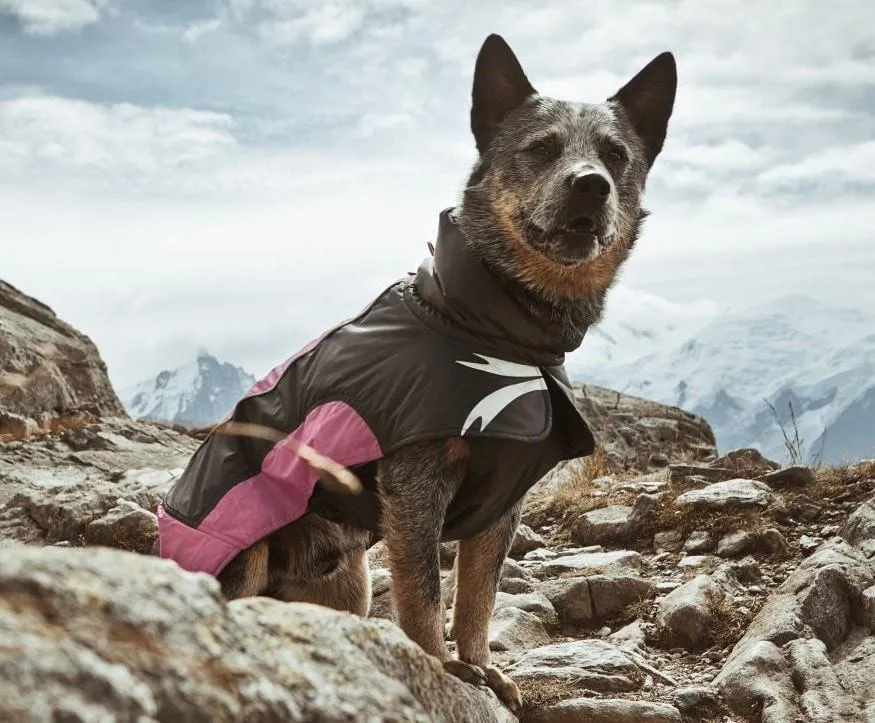 Ultimate Warmer Dog Jacket