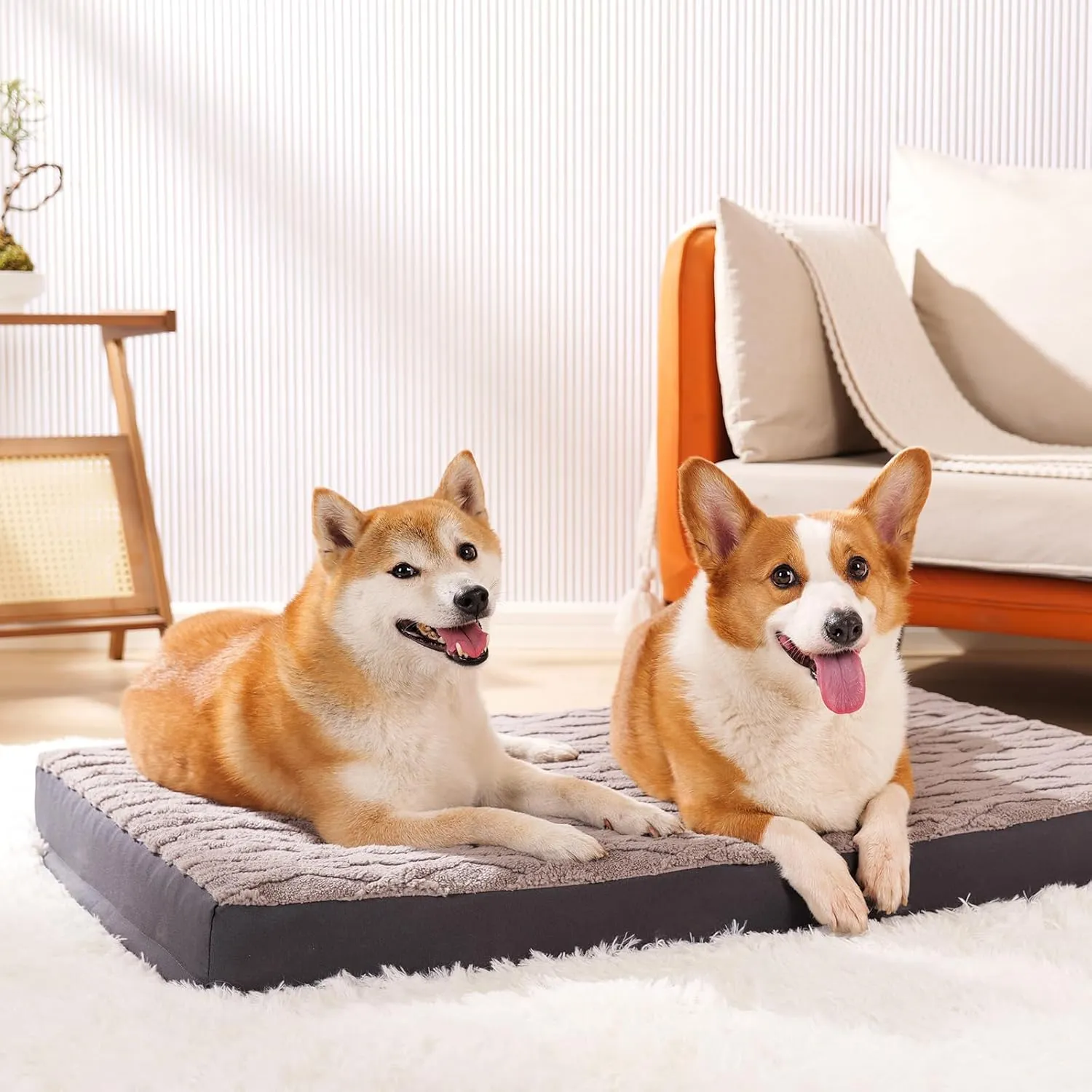 Waterproof Dog Crate Bed - Soft Fluffy Memory Foam Dog Bed with Anti-Slip Bottom, Machine Washable Squishmallow Pet Bed for Medium Large Dogs, 35"x22"x3", Grey