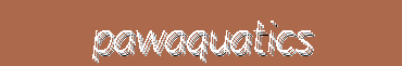 PawAquatics | Aquarium Accessories, Dog Essentials, Pet Grooming & Cat Products – 40% Off